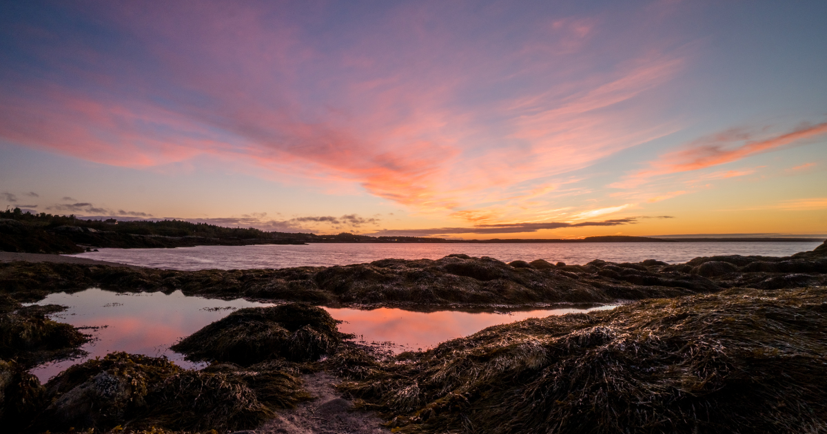 The Bay of Fundy