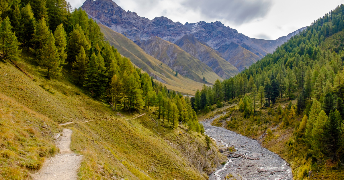 The Swiss National Park